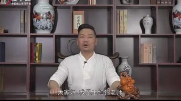 王红锦9套