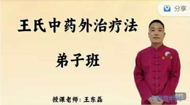 王东磊–面授系统课-王氏中药外治疗法