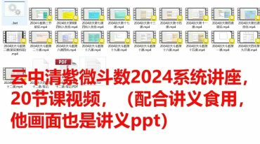 云中清2024紫薇斗术