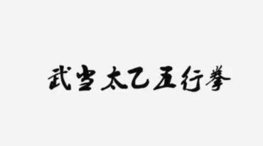 许微含《武当太乙五行拳》视频26集