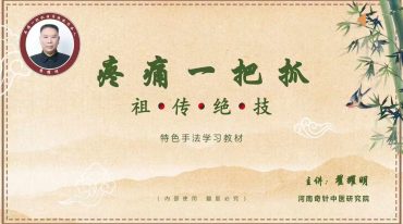 翟耀明 疼痛一把抓（祖传绝技，内部资料严禁外传）PDF