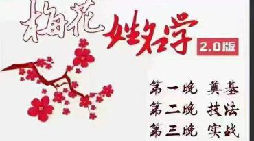 雷麒宗梅花姓名学