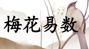 癸水酉金教你学梅花预测.pdf