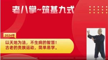 凡师丹 老八掌筑基功九式 全9讲视频课