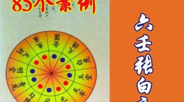 张白衣-六壬张白衣知识星球266元，85多个案例.pdf